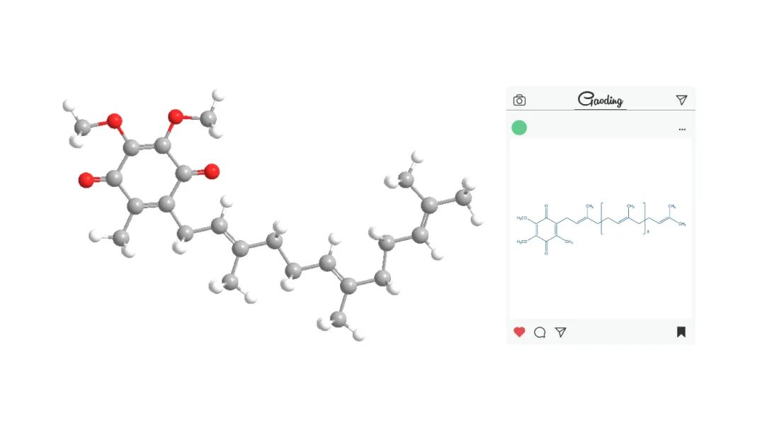 辅酶Q10布局式 辅酶Q10布局式