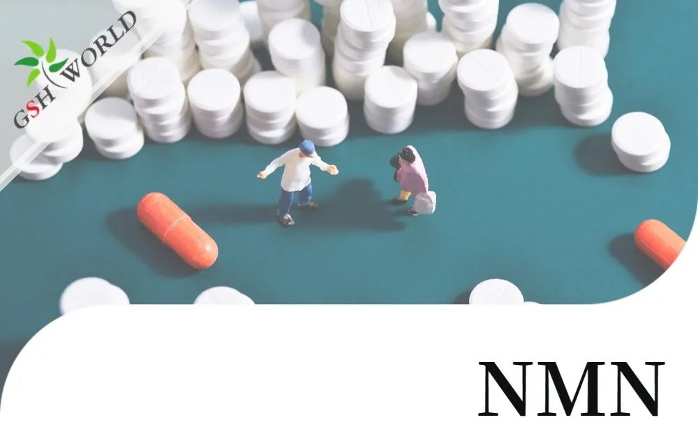 行业存眷 - NMN的多种医治利用