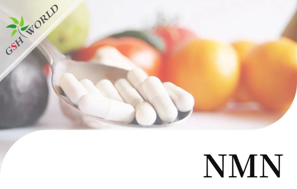 行业存眷 - NMN潜伏的抗朽迈活性及其合用性