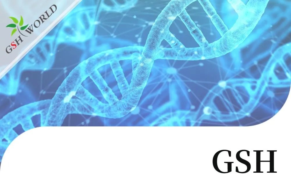 行业存眷 - 谷胱甘肽连系几种差别抗癌化疗药物的生物学感化