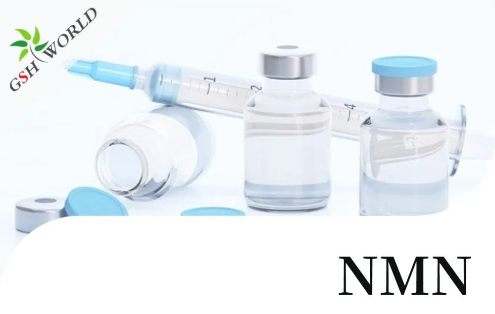 行业存眷 - NMN医治多囊卵巢综合征