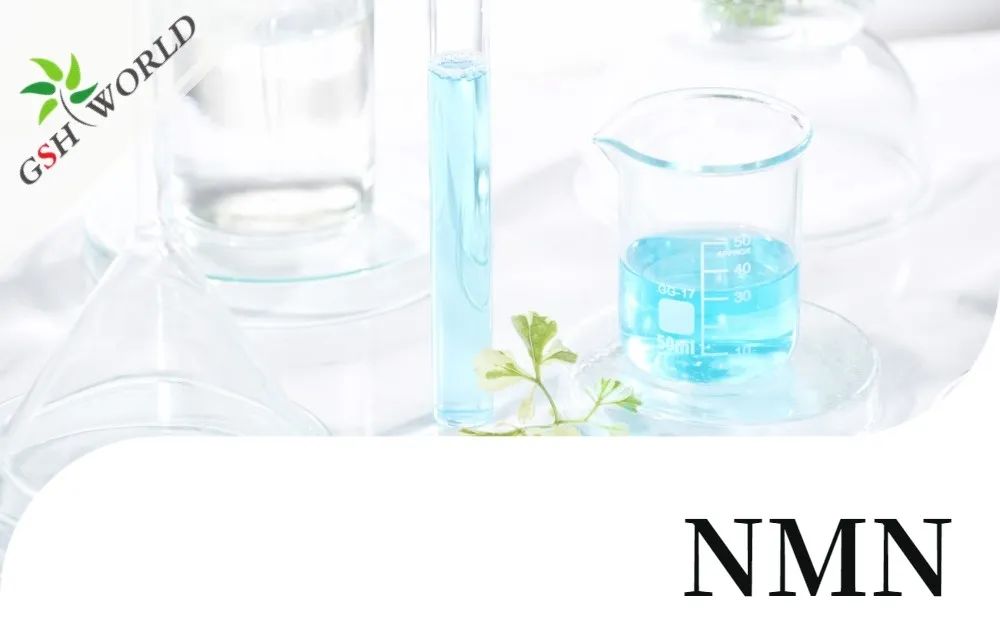 行业存眷 - NMN最新宁静性与耐受性评价
