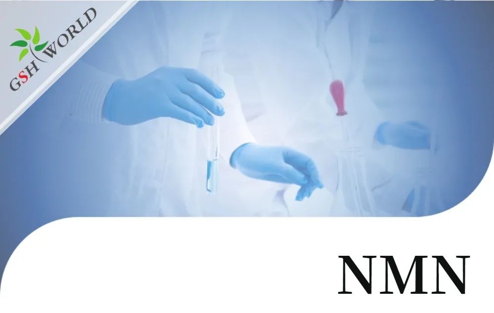 行业存眷 - NMN的保健功效与最新研讨停顿