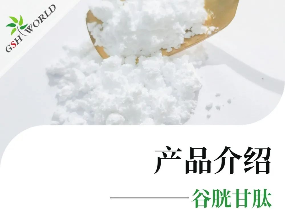 古特生物 谷胱甘肽:一种壮大的抗氧化剂息争毒剂