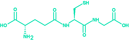 古特生物 古特生物