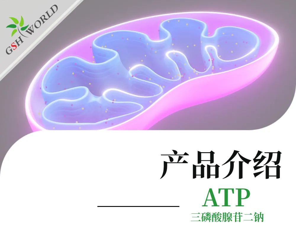 三磷酸腺苷二钠：性命能量的化学暗码