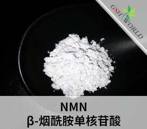 古特生物 烟酰胺单核苷酸(NMN)质料药简介