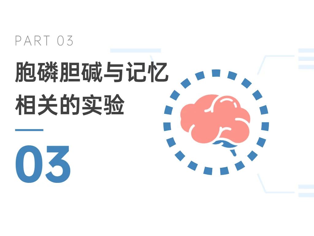 03胞磷胆碱与影象相干的尝试 03胞磷胆碱与影象相干的尝试