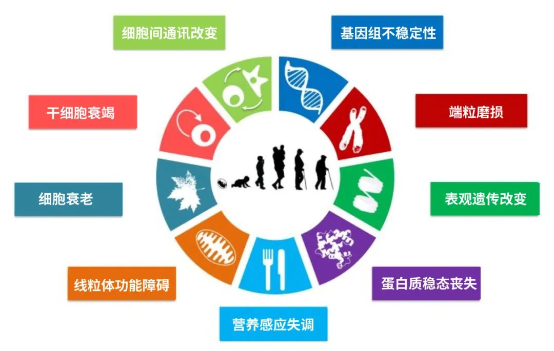 古特生物 图片