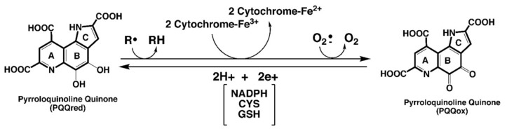古特生物 包罗图片、插图等的内部文件。
工具称号为 biomolecules-11-01441-g001.jpg