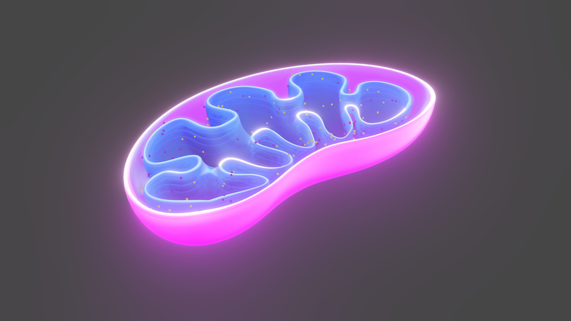古特生物 PQQ:能量代谢的调理剂