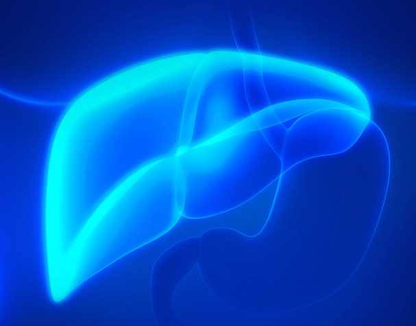 古特生物 SAMe对肝脏安康的影响