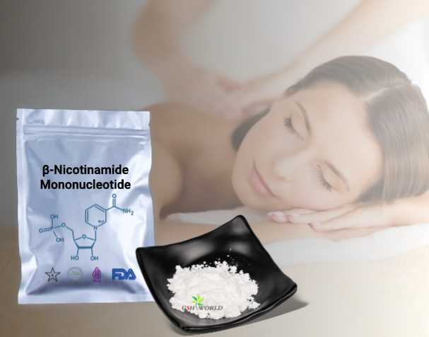 NMN的抗朽迈机制