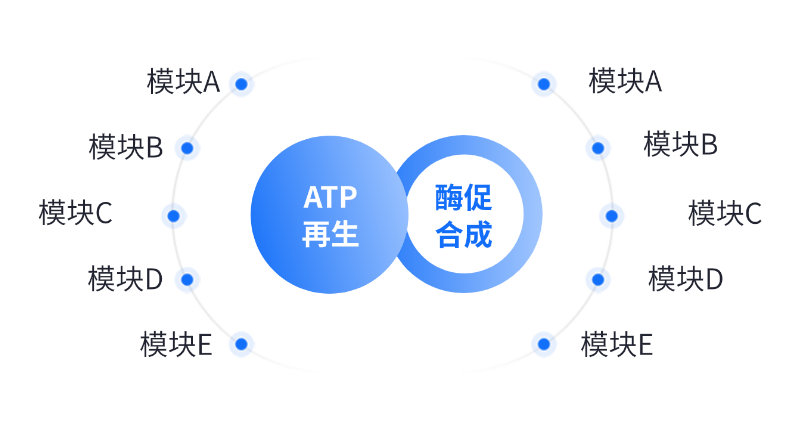 酶法出产操纵范畴