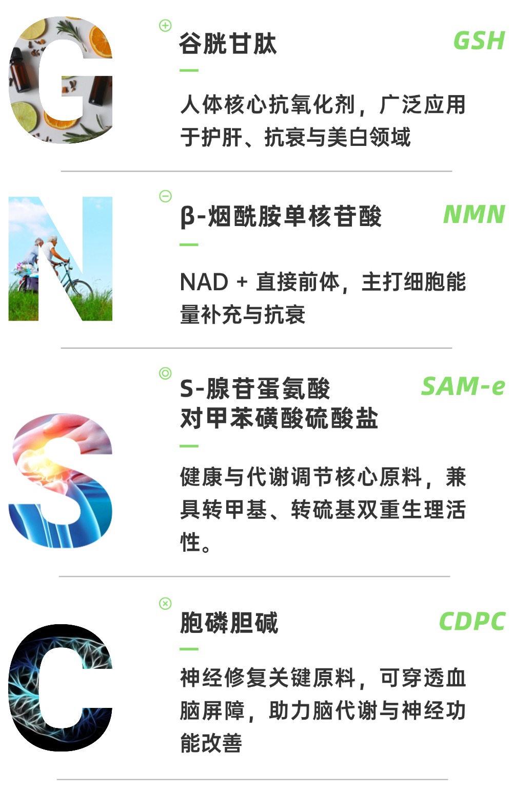 谷胱甘肽、NMN、胞磷胆碱、腺苷蛋氨酸四大明星质料 谷胱甘肽、NMN、胞磷胆碱、腺苷蛋氨酸四大明星质料