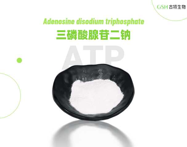 ATP补充剂真能晋升活动表现吗？