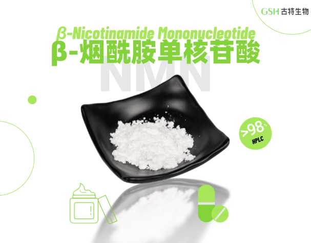NMN与NR作为的养分补充质料的潜力