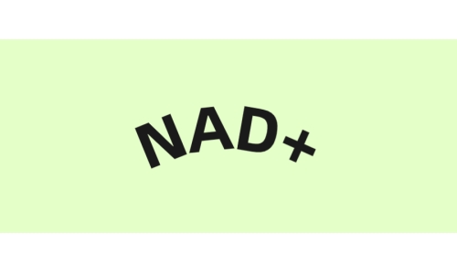 NAD+与朽迈的干系