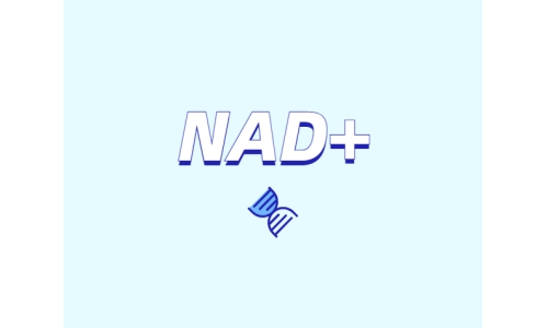 NAD在安康中有甚么潜伏感化？