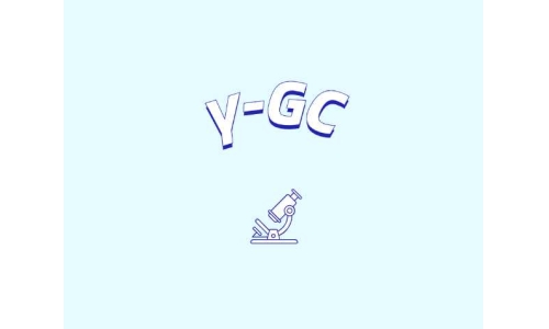熟悉γ-谷氨酰半胱氨酸