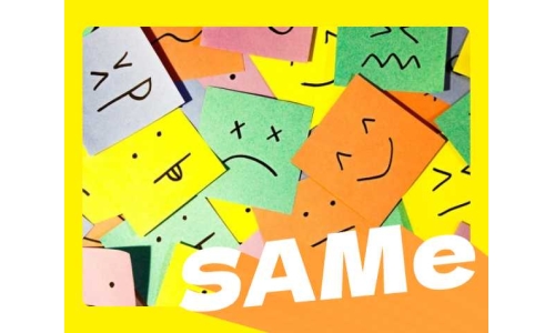 减缓情感的帮忙SAMe