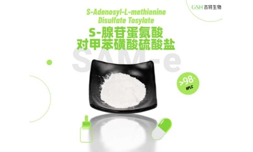 SAM-e 对肝脏有赞助吗？