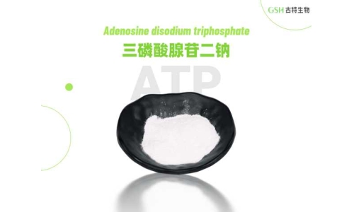 ATP补充剂真能晋升勾当表现吗？