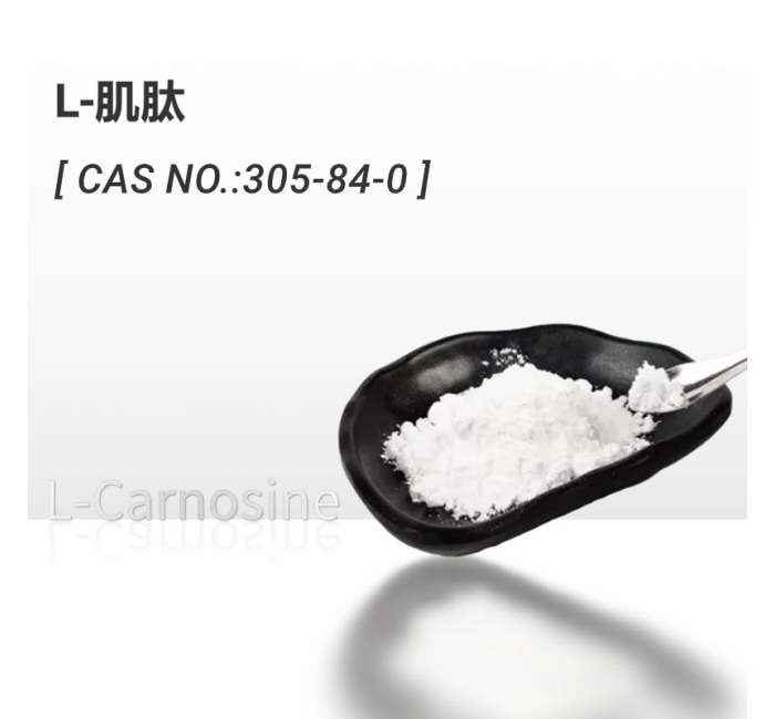 L-肌肽