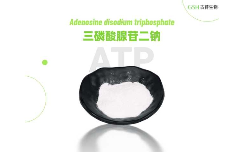 ATP补充剂真能晋升活动表现吗？