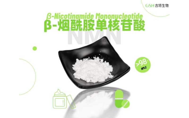 NMN与NR作为的养分补充质料的潜力